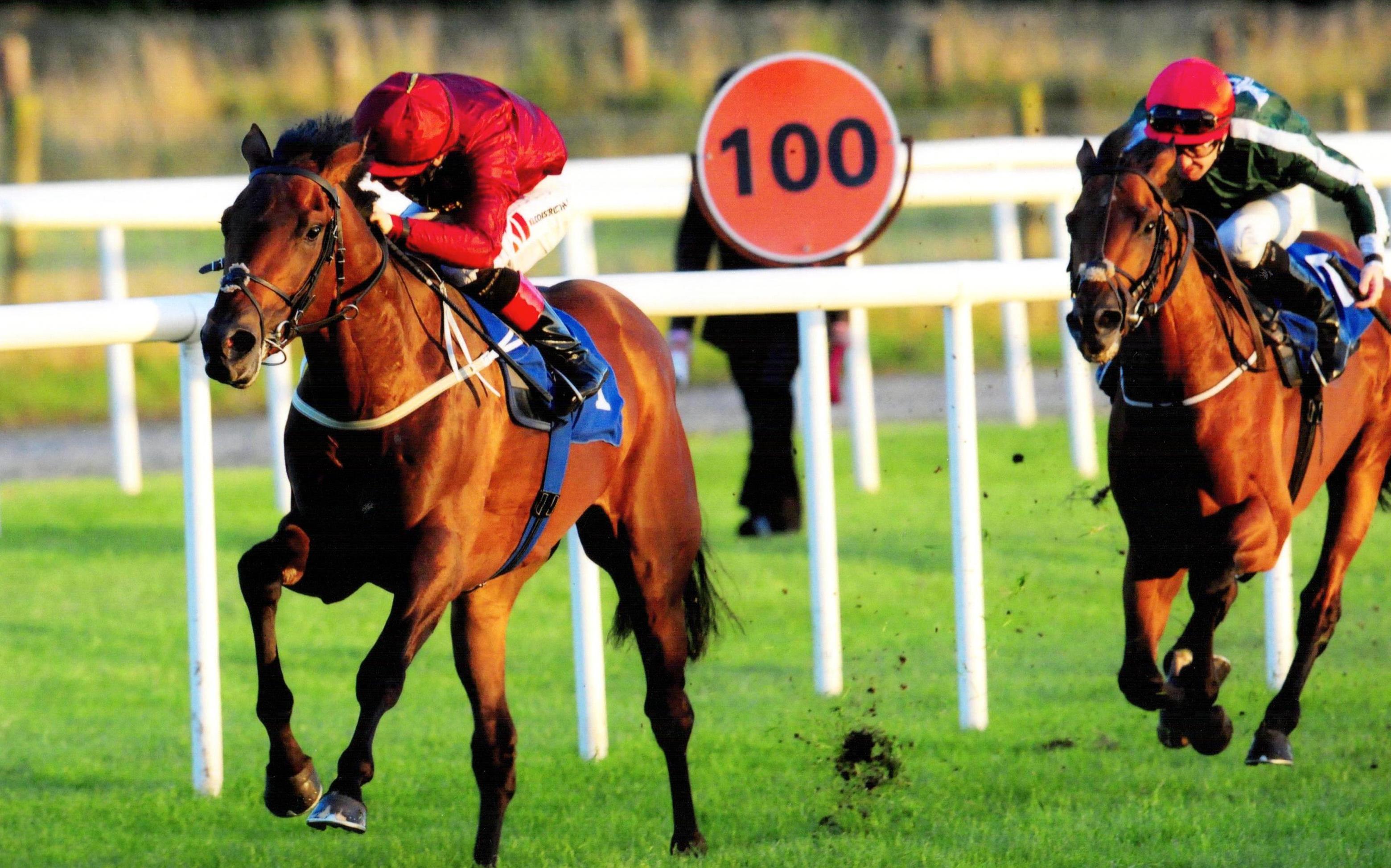 CANNONBALL provides Qatar Racing with a double at Roscommon 8th August 2017